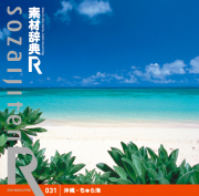 �f�ގ��T[R(�A�[��)] 031 ����E�����C