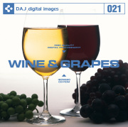 DAJ021 WINE & GRAPES yCƕz
