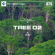 fޏW DAJ076 TREE 02 yؕSIOQz