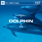 DAJ117 DOLPHIN 【イルカ】