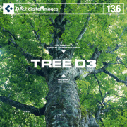 DAJ136 TREE 03 yؕSI 03z