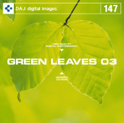 DAJ147 GREEN LEAVES 03 ytbVȐV΃C[W 03z