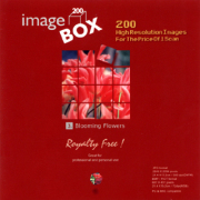 �f�ޏW IMAGE BOX Vol.3 ��ࣖ�