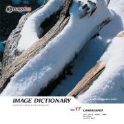 imageDJ Image Dictionary Vol.17 ���i 