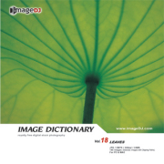 imageDJ Image Dictionary Vol.18 �t 