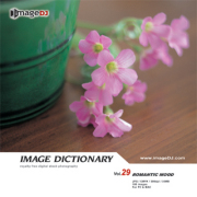 imageDJ Image Dictionary Vol.29 ���}���e�B�N 