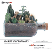 imageDJ Image Dictionary Vol.32 ���A 
