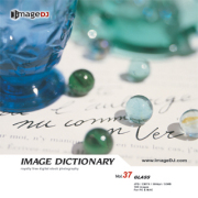 imageDJ Image Dictionary Vol.37 �K���X���i 