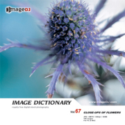 imageDJ Image Dictionary Vol.67 Ԃ̐ڎ 