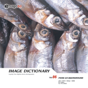 imageDJ Image Dictionary Vol.86 Hwi 