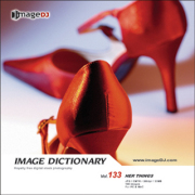 imageDJ Image Dictionary Vol.133 �o�j�e�B�[�@�P�[�X 