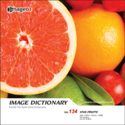 imageDJ Image Dictionary Vol.134 �ʕ����� 