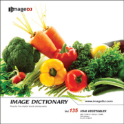 imageDJ Image Dictionary Vol.135 ��ؖ��� 