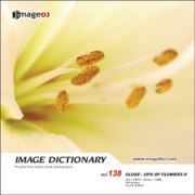 imageDJ Image Dictionary Vol.138 �Ԃ̐ڎ�(2) 