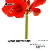 imageDJ Image Dictionary Vol.143 ����₩�ȉ� 