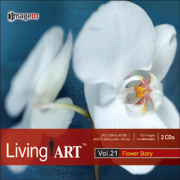�f�ޏW imageDJ Living Art Vol.21 �ԕ���