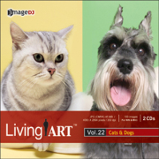 �f�ޏW imageDJ Living Art Vol.22 ���ƔL