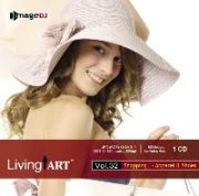 �f�ޏW imageDJ Living Art Vol.32 �V���b�s���O(1)���ƌC