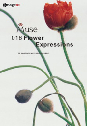 �f�ޏW imageDJ Muse Vol.16 �Ԃ̕\��