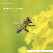 Makunouchi 109 Spring FlowersqtEԁr
