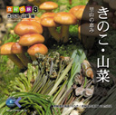 素材集 マルク 食材の旅：8 松茸 ナメコ 椎茸（きのこ・山菜編）画像