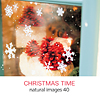 naturalimages Vol.40 CHRISTMAS TIME qCeAAp[eB[r