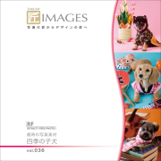 IMAGES Vol.036 Ύ̎ʐ^f lG̎q