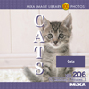 MIXA Vol.206 CATS〈動物、写真、素材〉