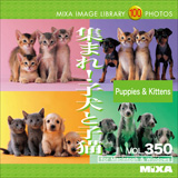 MIXAイメージライブラリーVol.350 集まれ！子犬と子猫