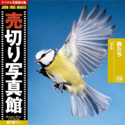 fޏW ؂ʐ^ JFI Vol.029  Birds