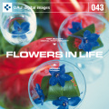 DAJ043 FLOWERS IN LIFE yԂ̂鐶z
