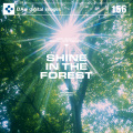 DAJ156 SHINE IN THE FOREST 【木洩れ日】