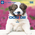 DAJ198 DOG 02 【かわいい子犬 02】