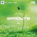 DAJ286 SPROUTS 【新芽】
