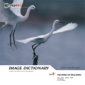 imageDJ Image Dictionary Vol.6 쒹 