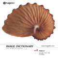 imageDJ Image Dictionary Vol.8 L 