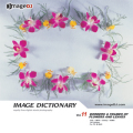 imageDJ Image Dictionary Vol.11 ԏ 