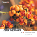 imageDJ Image Dictionary Vol.12 R 