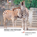 imageDJ Image Dictionary Vol.27  