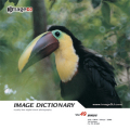 imageDJ Image Dictionary Vol.49  