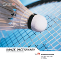 imageDJ Image Dictionary Vol.54 X|[cpi 