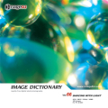 imageDJ Image Dictionary Vol.66 ̃_X 