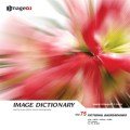 imageDJ Image Dictionary Vol.75 nwi 