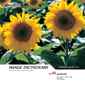 imageDJ Image Dictionary Vol.85  (2) 