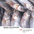imageDJ Image Dictionary Vol.86 Hwi 