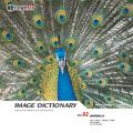 imageDJ Image Dictionary Vol.92  