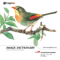 imageDJ Image Dictionary Vol.96  (ʉ) 