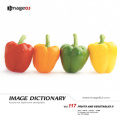 imageDJ Image Dictionary Vol.117 ʕƖ(2) 