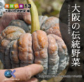 マルク 食材の旅13 「大阪の伝統野菜」編