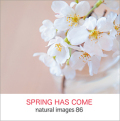 naturalimages Vol.86 SPRING HAS COME